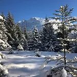 Panoramablick *