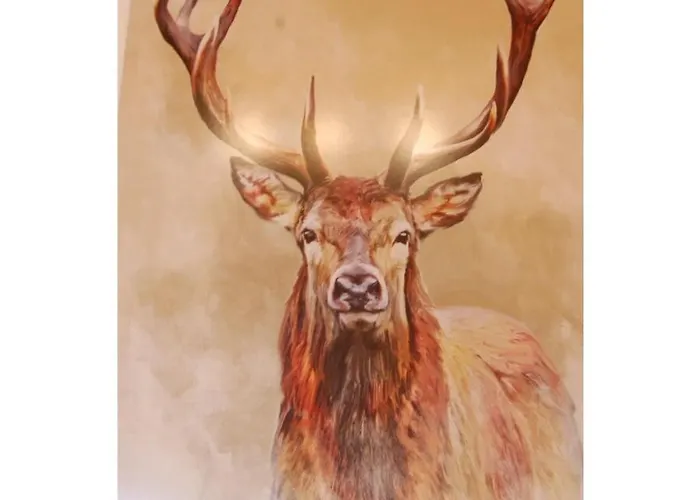 Panoramablick アパート