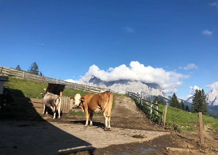 アパート Panoramablick