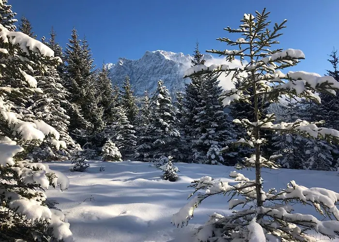 Panoramablick *